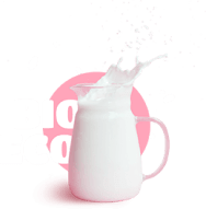 bio eco milk